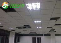 China cadena de producción mineral completamente automática acústica del tablero del techo de la fibra de 12m m compañía