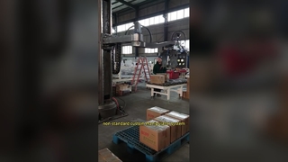 sistema de manipulador personalizado no estándar