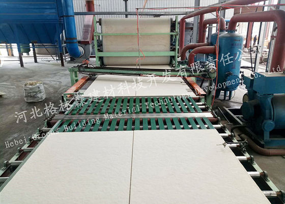 Máquina mineral acústica de la fabricación del panel de techo de la fibra con el proyecto dominante de la vuelta
