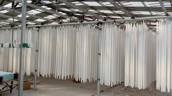 Diversa cornisa del techo del yeso que procesa la maquinaria con precio bajo y menos trabajo